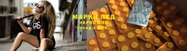 шишки Алзамай