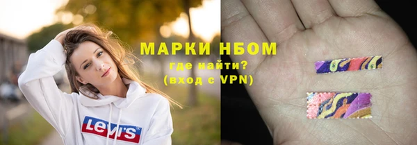 шишки Алзамай