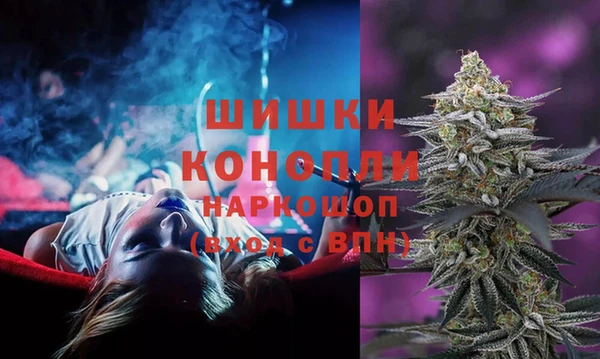 шишки Алзамай