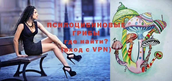 шишки Алзамай