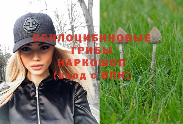 шишки Алзамай