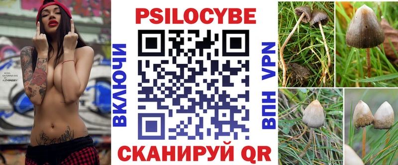 купить  цена  Саки  ОМГ ОМГ зеркало  Галлюциногенные грибы Magic Shrooms 